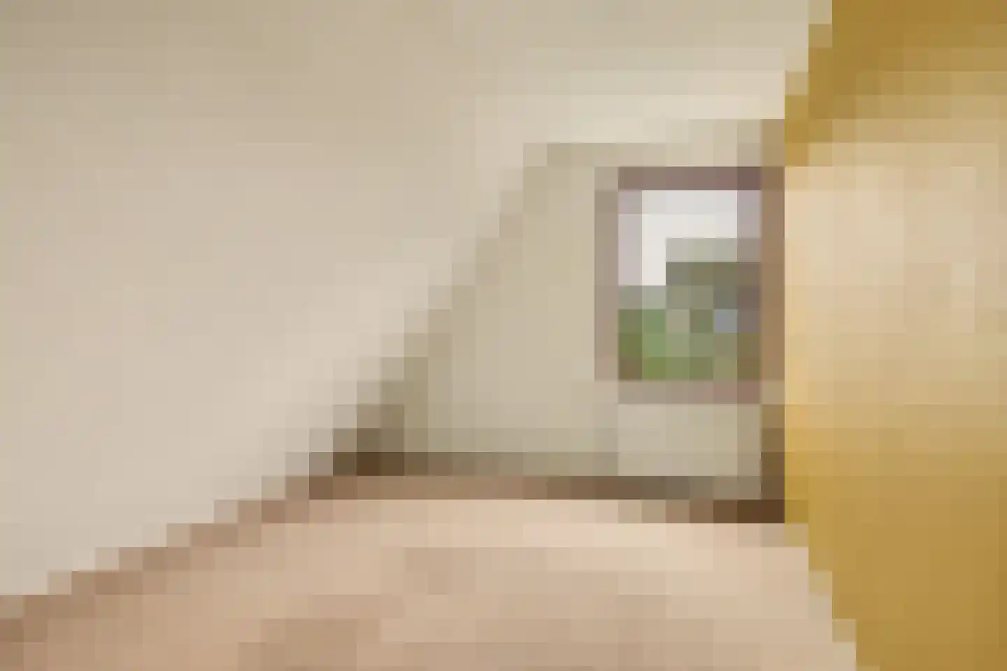Boogerdlaan 27 Kortgene thumbnail 26