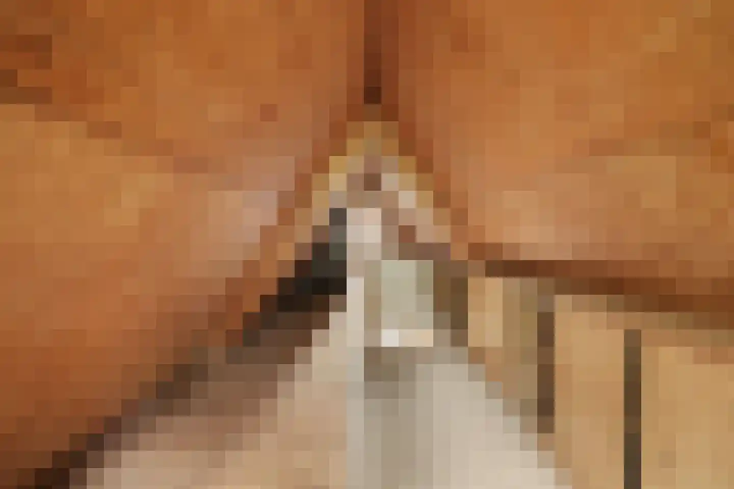 Boogerdlaan 27 Kortgene thumbnail 33