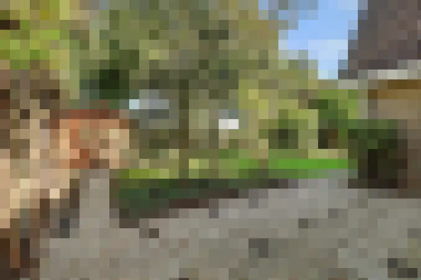 Boogerdlaan 27 Kortgene thumbnail 35