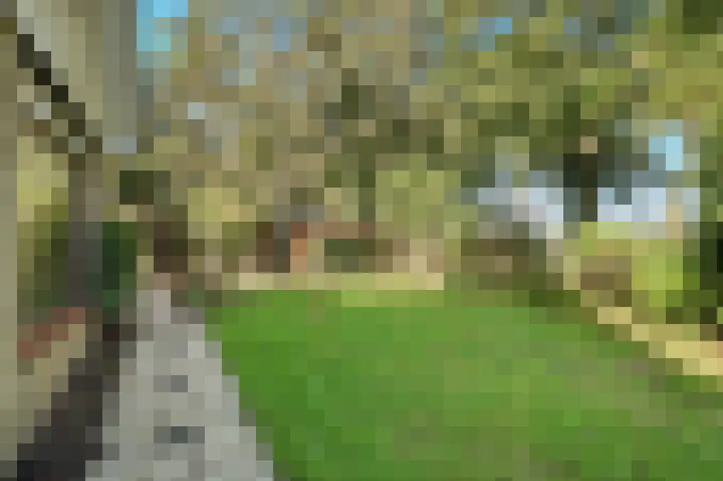 Boogerdlaan 27 Kortgene thumbnail 37