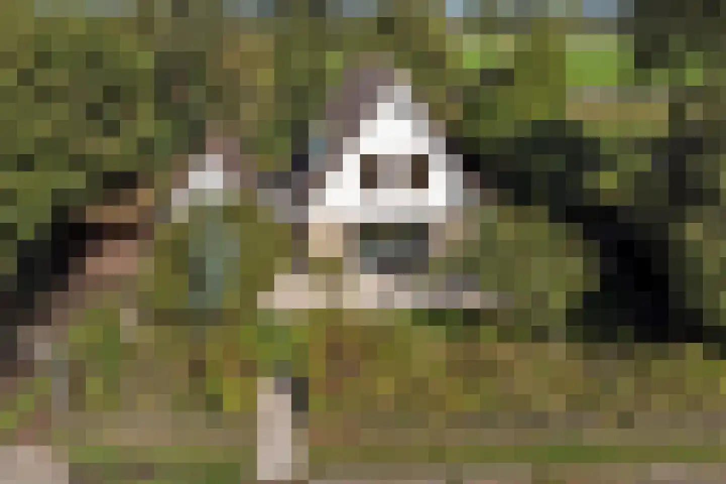 Boogerdlaan 27 Kortgene thumbnail 41