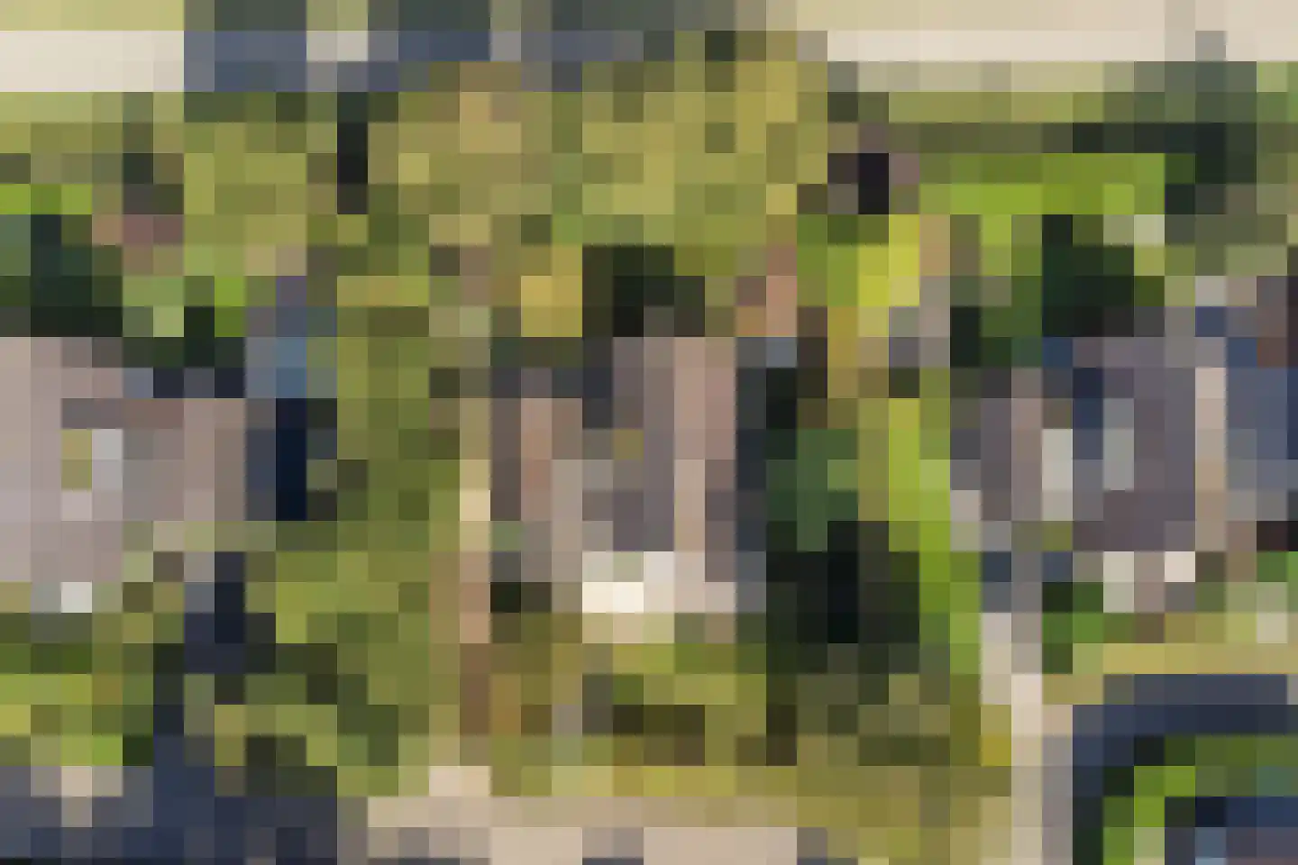 Boogerdlaan 27 Kortgene thumbnail 43