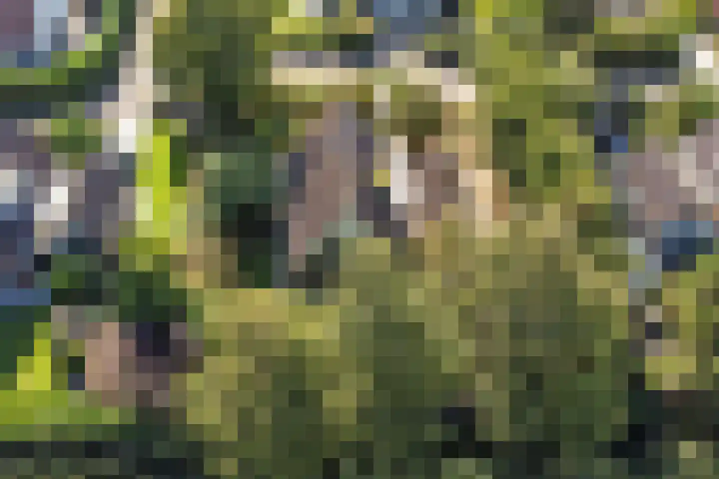 Boogerdlaan 27 Kortgene thumbnail 44