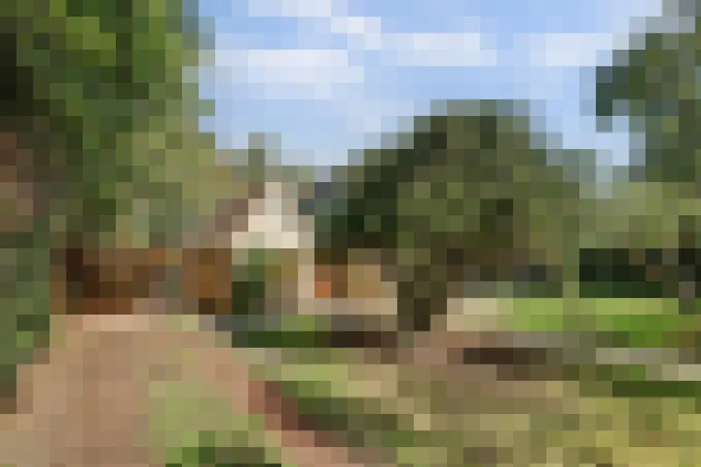 Boogerdlaan 27 Kortgene thumbnail 7
