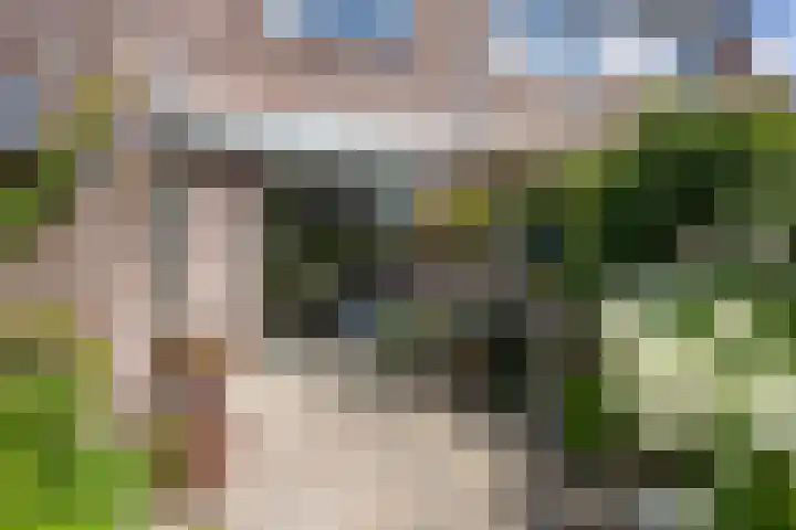 Boogfries 13 De Goorn thumbnail 22