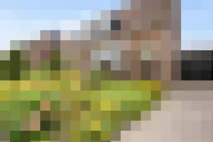 Boogfries 13 De Goorn thumbnail 4
