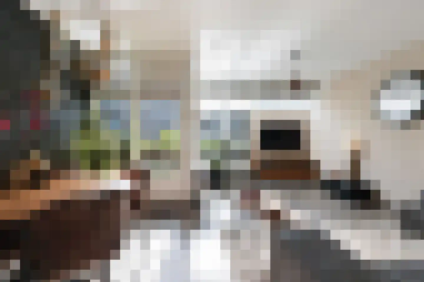 Boogjes 104 Dordrecht thumbnail 7
