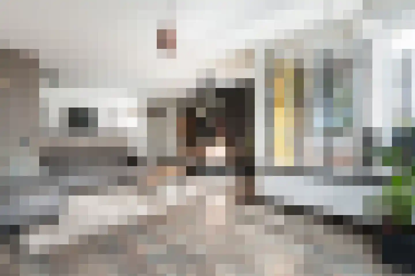 Boogjes 104 Dordrecht thumbnail 8