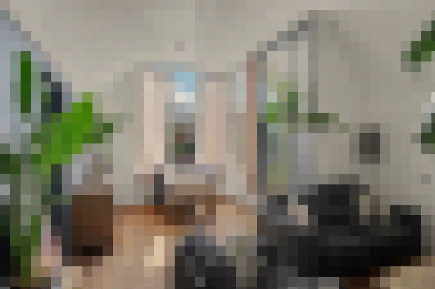 Boogjes 118 Dordrecht thumbnail 10