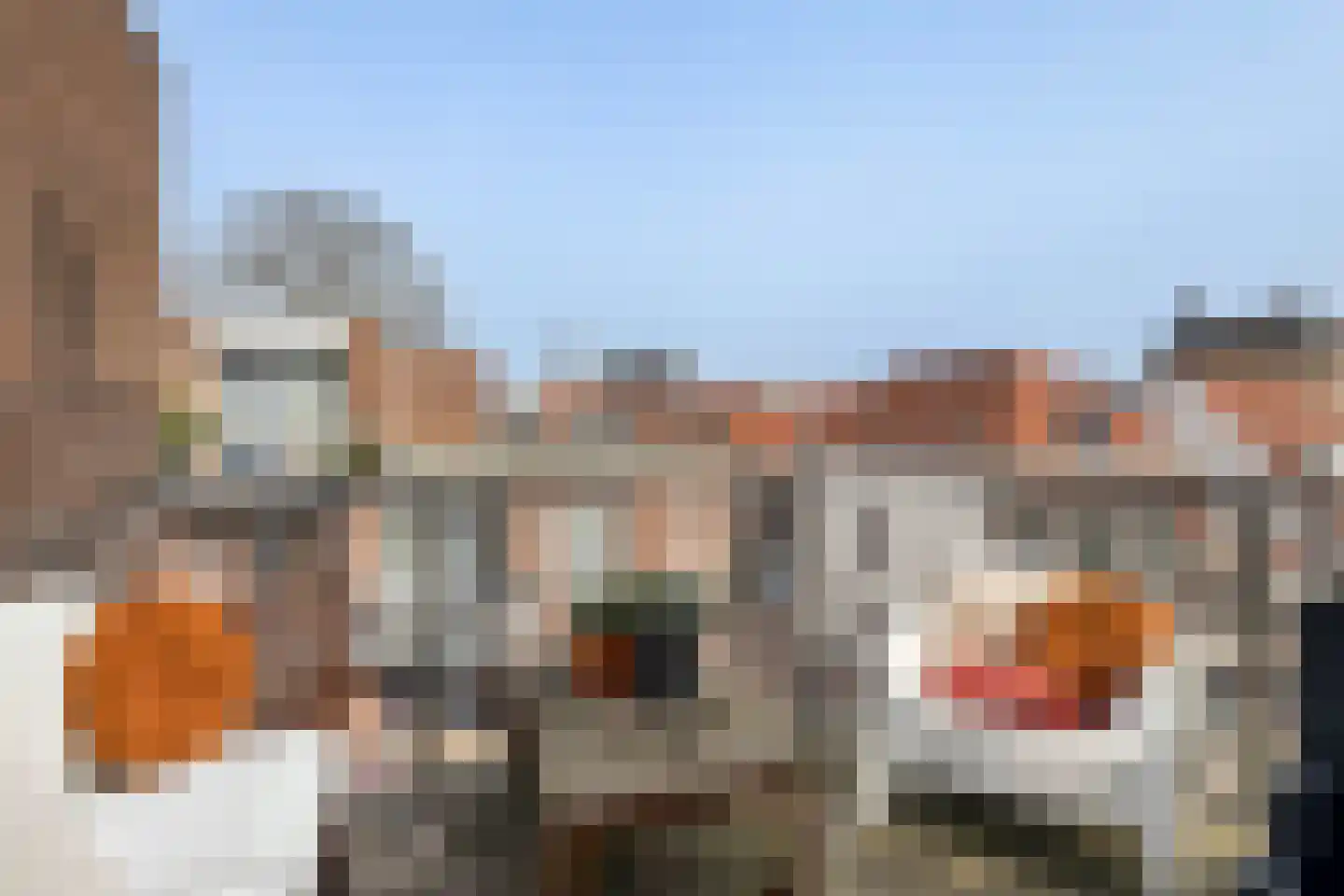 Boogjes 16 Dordrecht thumbnail 27