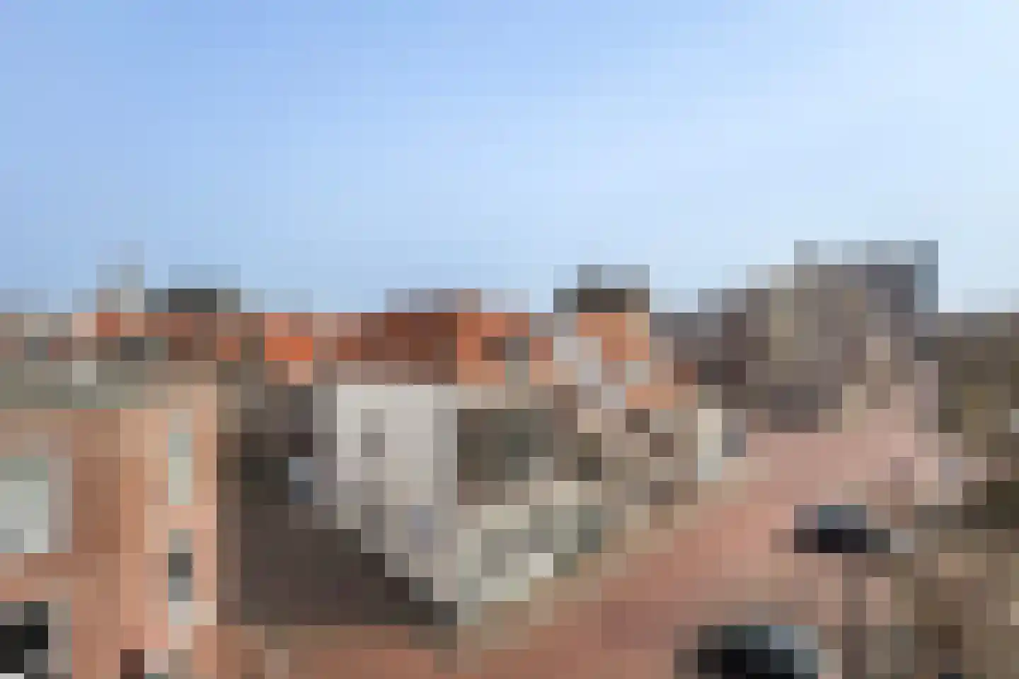 Boogjes 16 Dordrecht thumbnail 28