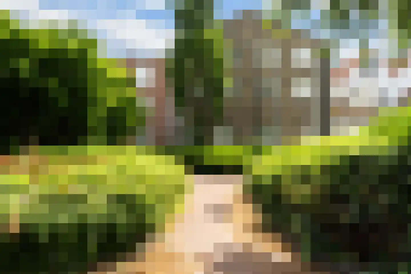 Boogjes 163 Dordrecht thumbnail 28