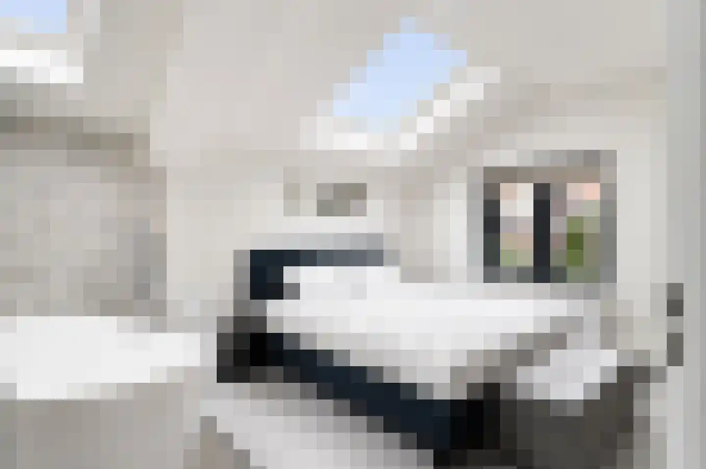 Boogjes 163 Dordrecht thumbnail 5