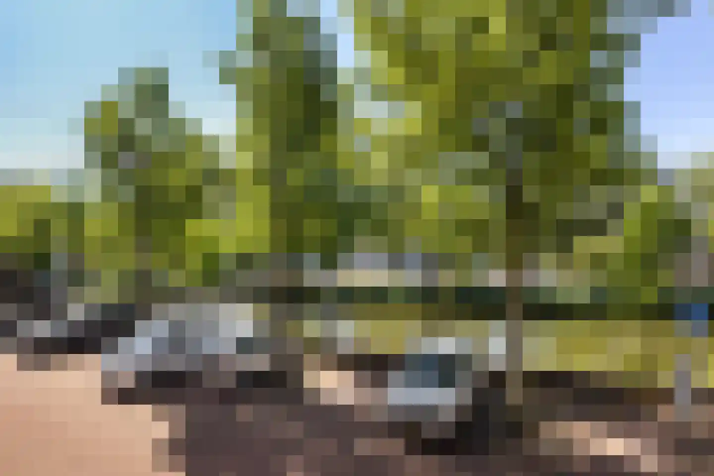 Boogjes 193 Dordrecht thumbnail 16