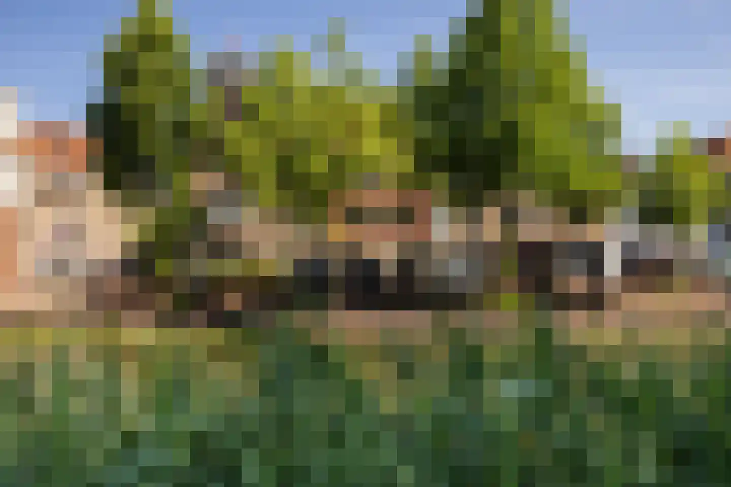 Boogjes 193 Dordrecht thumbnail 6