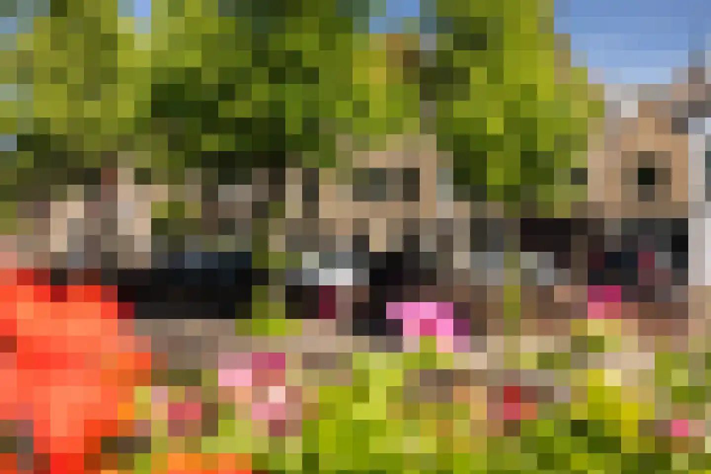 Boogjes 193 Dordrecht thumbnail 7