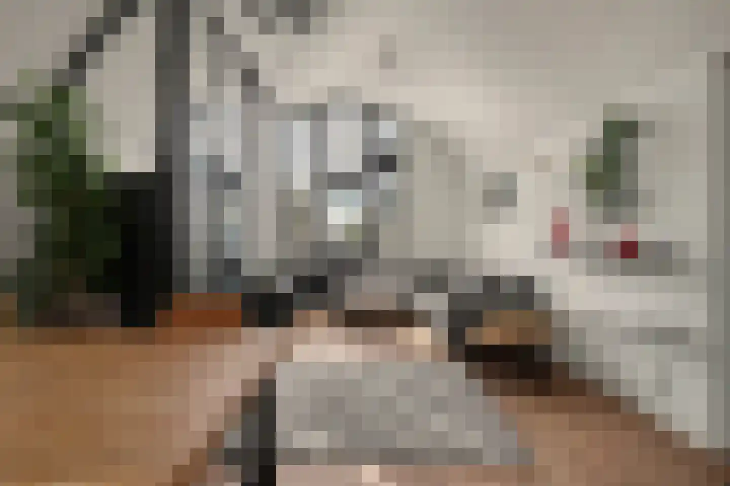 Boogjes 44 Dordrecht foto 3