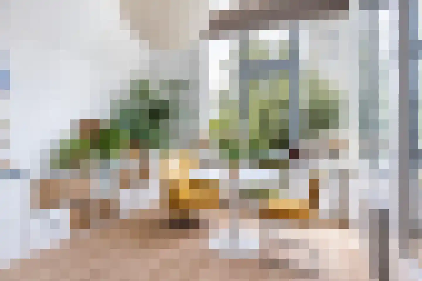 Boogjes 64 Dordrecht thumbnail 10