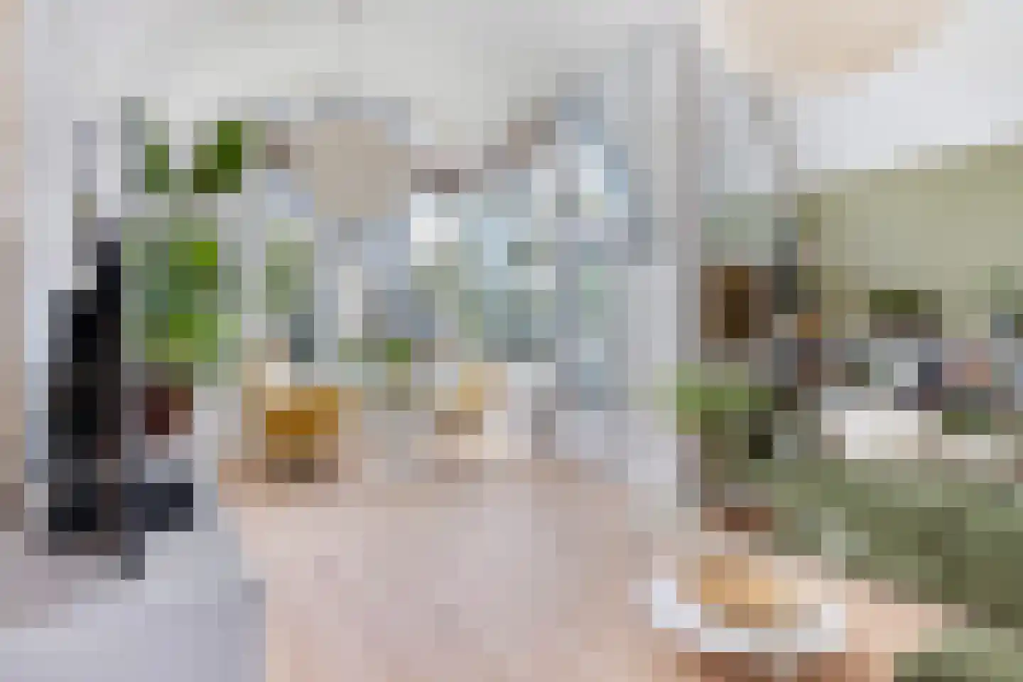 Boogjes 64 Dordrecht thumbnail 9
