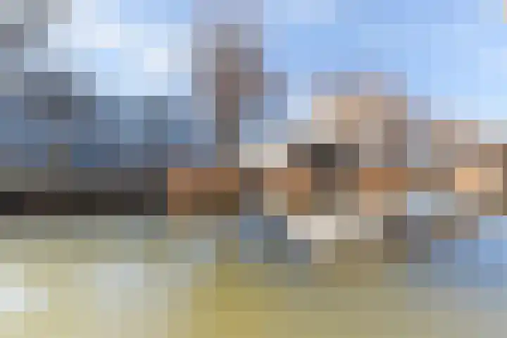 Boogjes 8 Dordrecht thumbnail 12