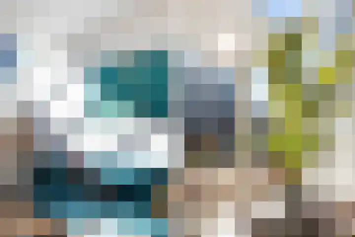 Boogjes 8 Dordrecht thumbnail 8