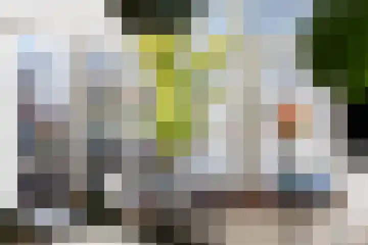 Boogjes 8 Dordrecht thumbnail 9