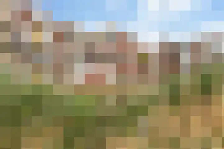 Boogjes 82 Dordrecht thumbnail 34