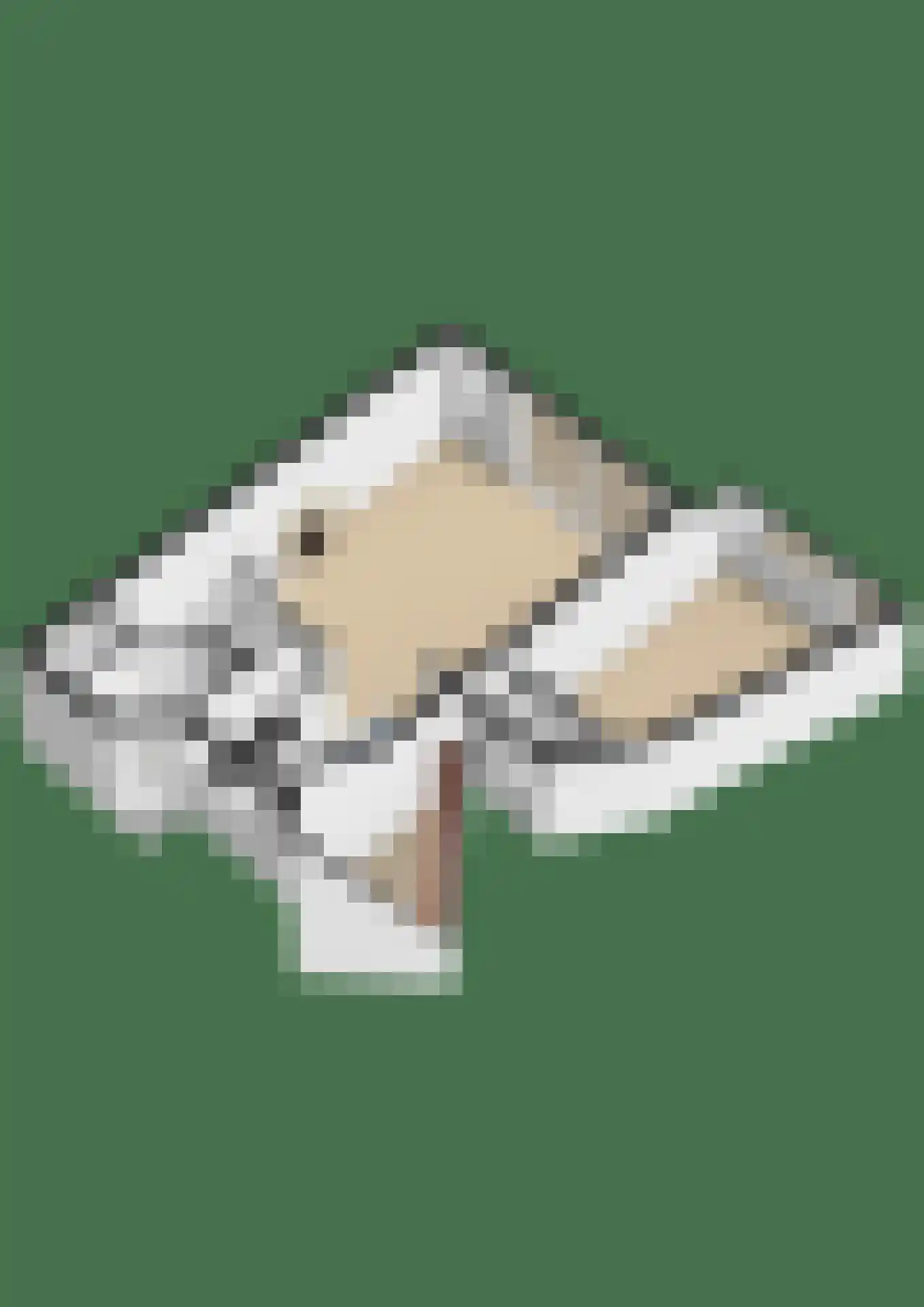 Boogkreek 18 Spijkenisse thumbnail 19