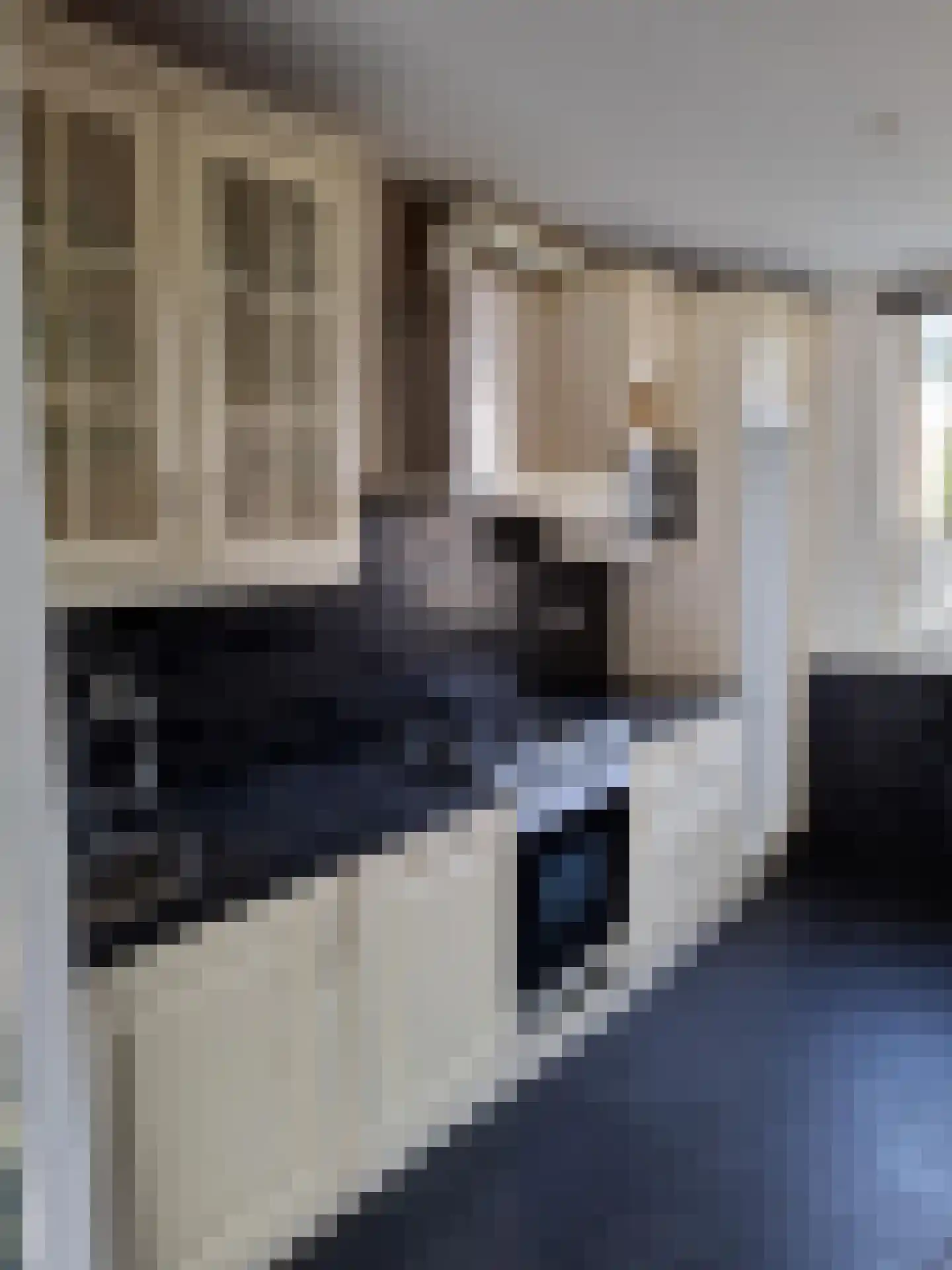 Boogkreek 18 Spijkenisse thumbnail 5