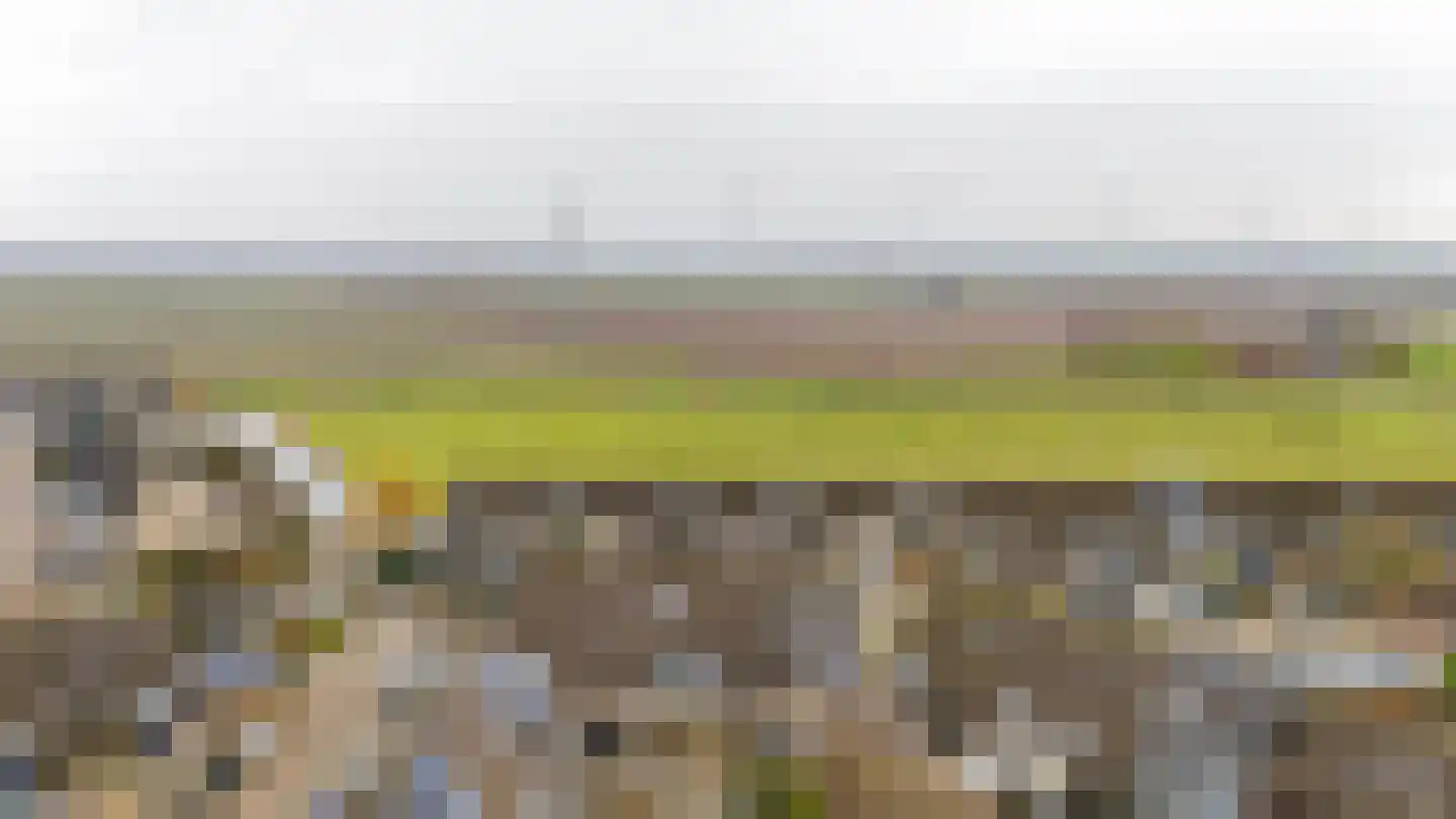 Boogkreek 20 Spijkenisse thumbnail 39