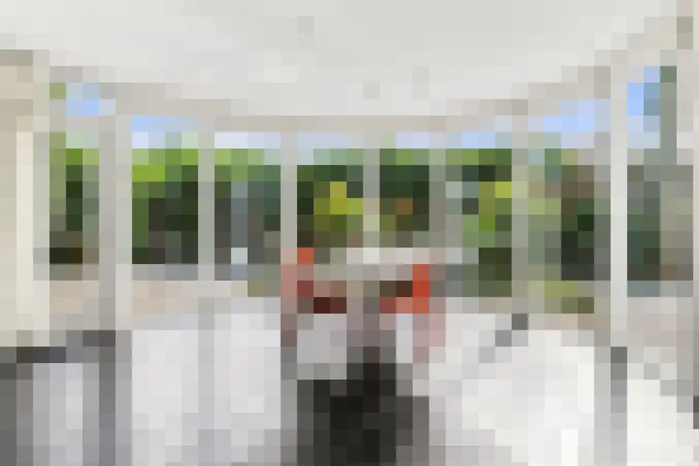 Booglaan 4 Oss thumbnail 17