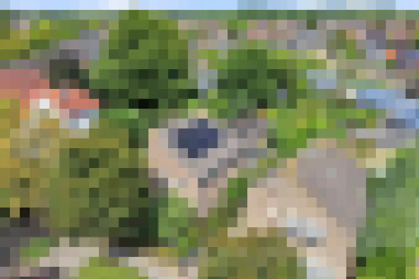 Booglaan 4 Oss thumbnail 43