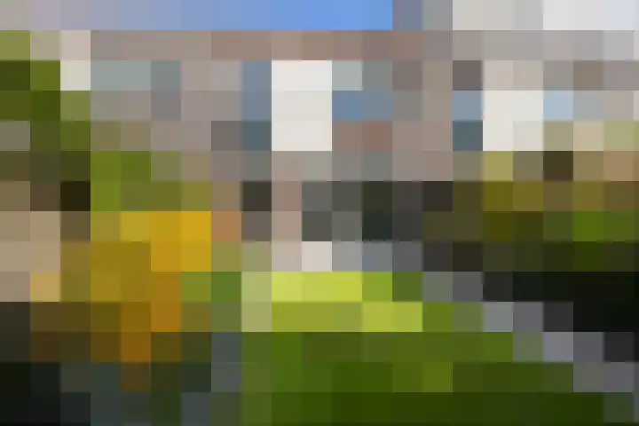 Boogmakerstraat 22 Zwolle thumbnail 29