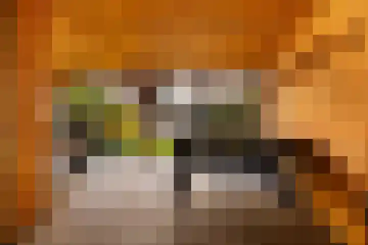 Boogmakerstraat 22 Zwolle thumbnail 33