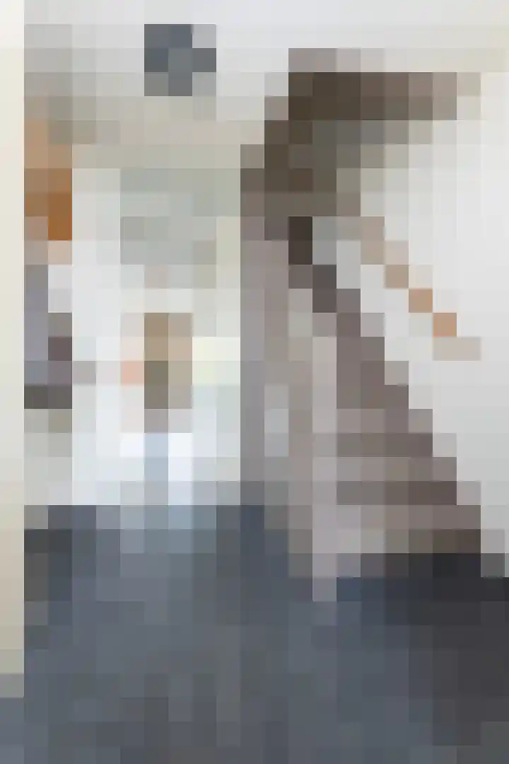 Boogmakerstraat 22 Zwolle thumbnail 7