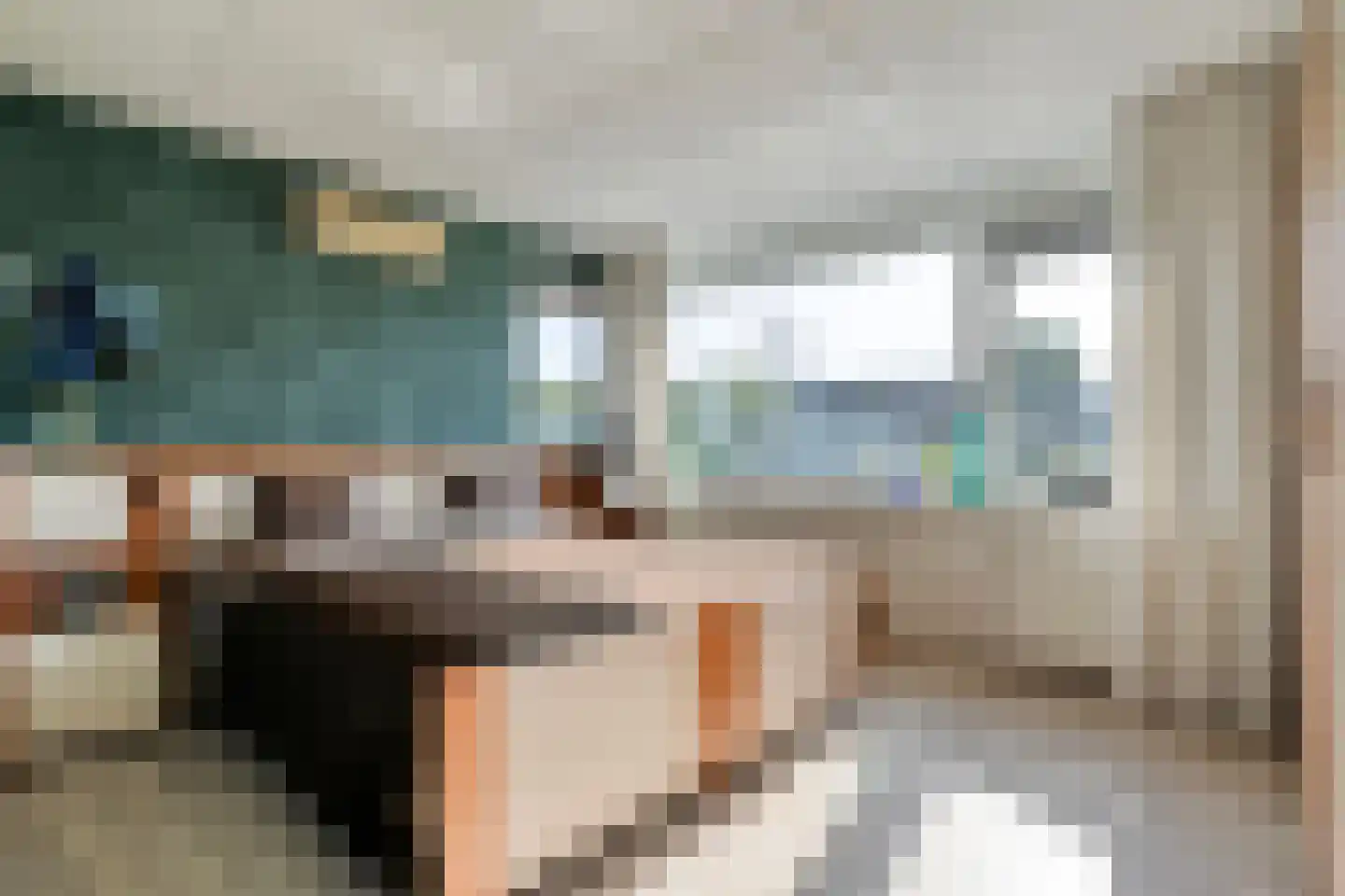 Boogmakerstraat 23 Zwolle thumbnail 24