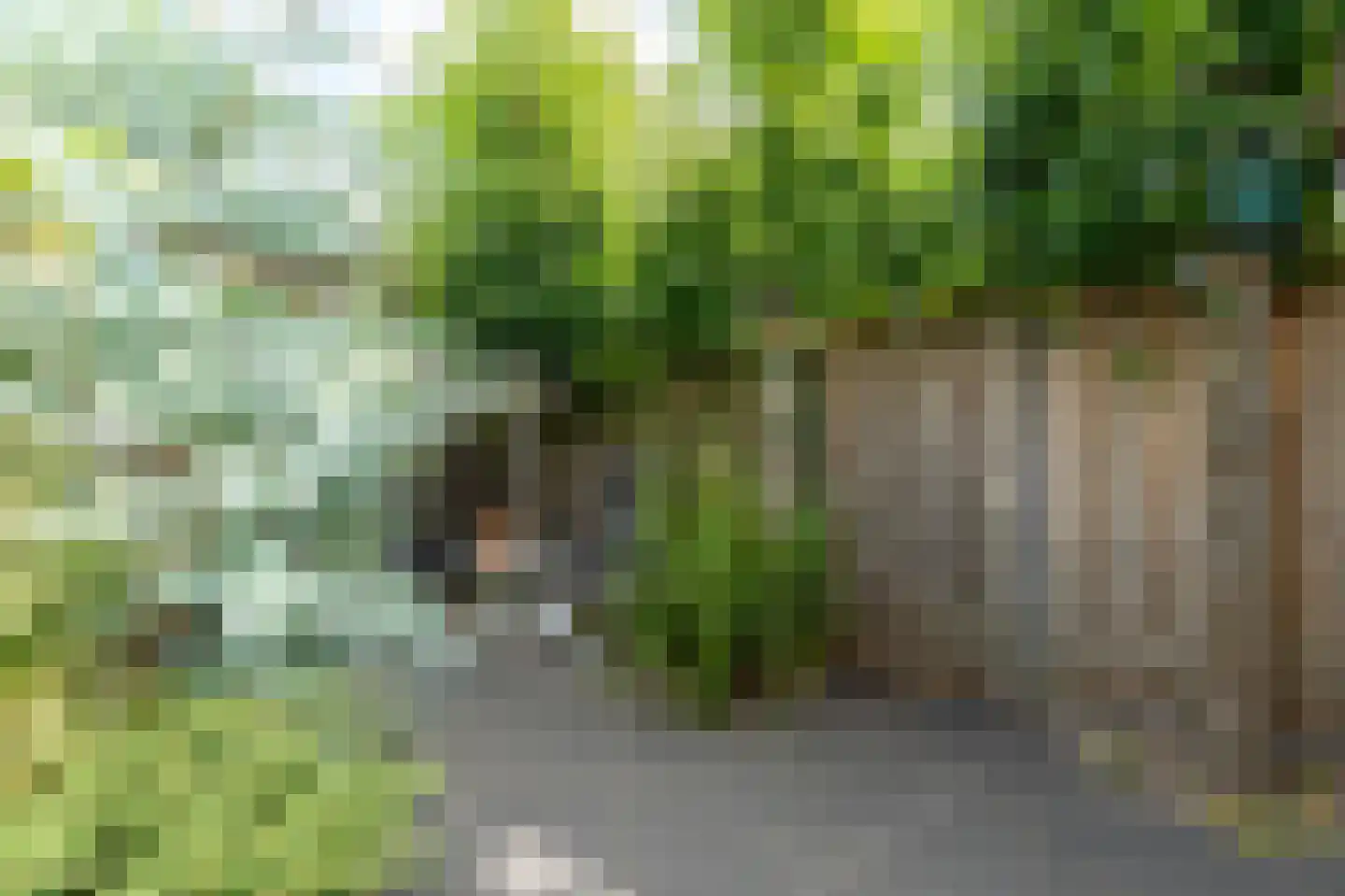 Boogmakerstraat 23 Zwolle thumbnail 35