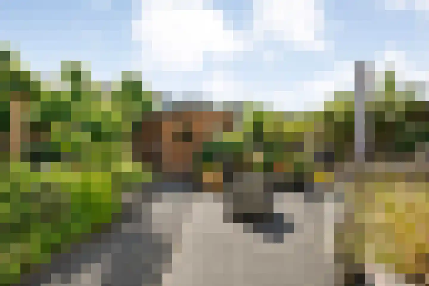 Boogmakerstraat 23 Zwolle thumbnail 38