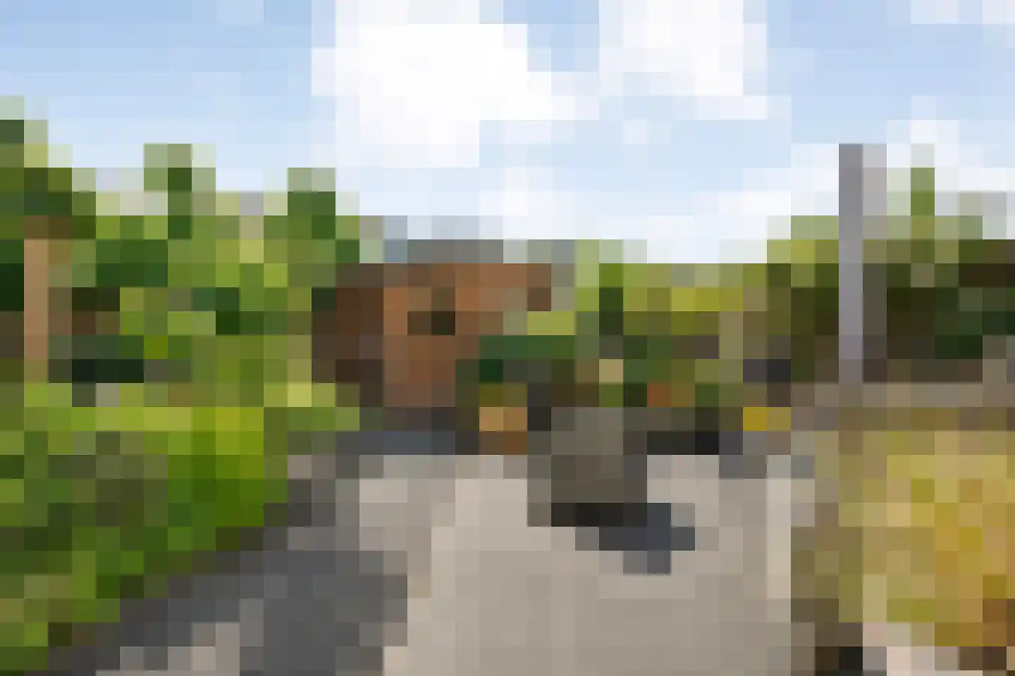 Boogmakerstraat 23 Zwolle thumbnail 40
