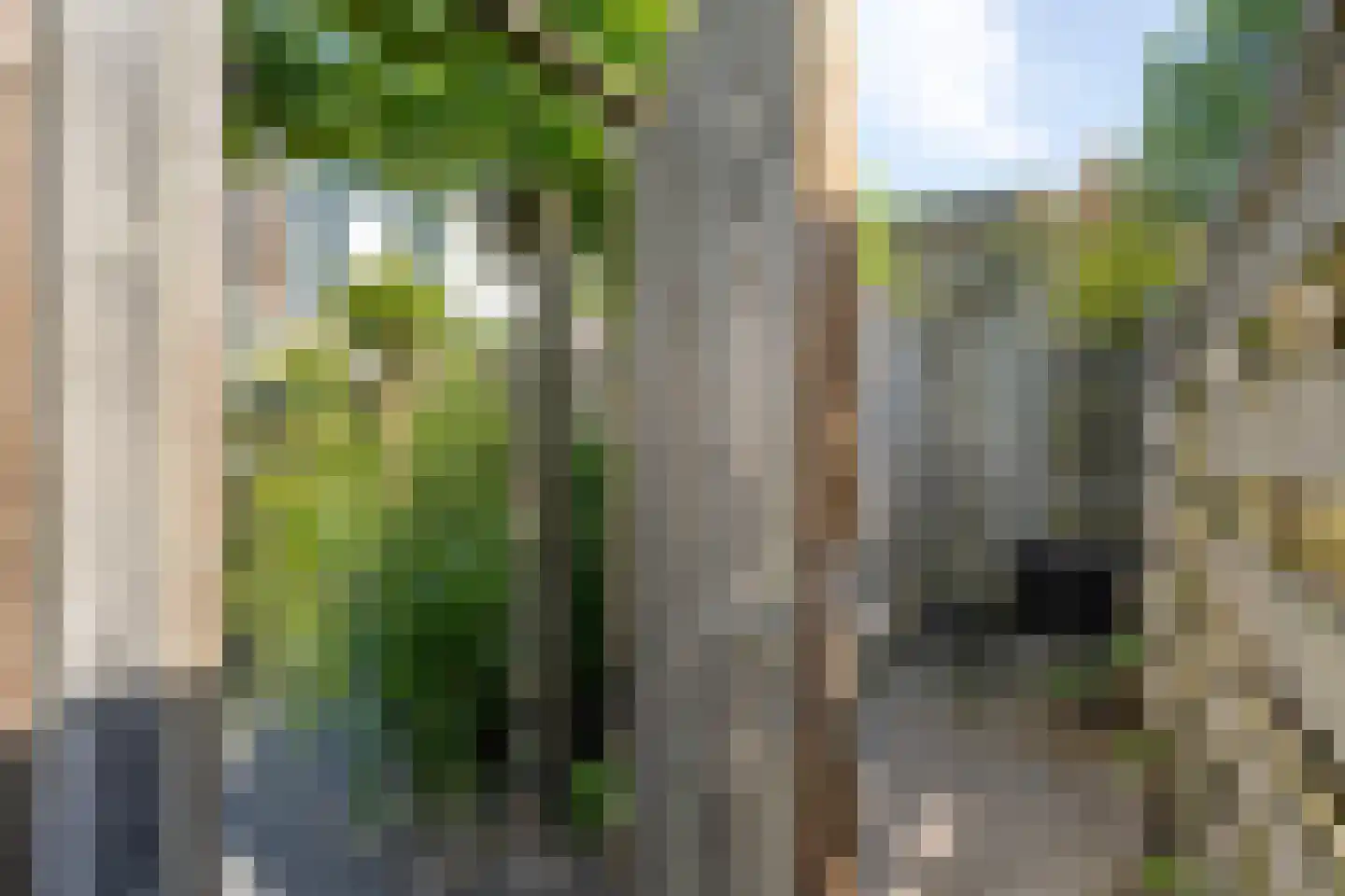 Boogmakerstraat 23 Zwolle thumbnail 42