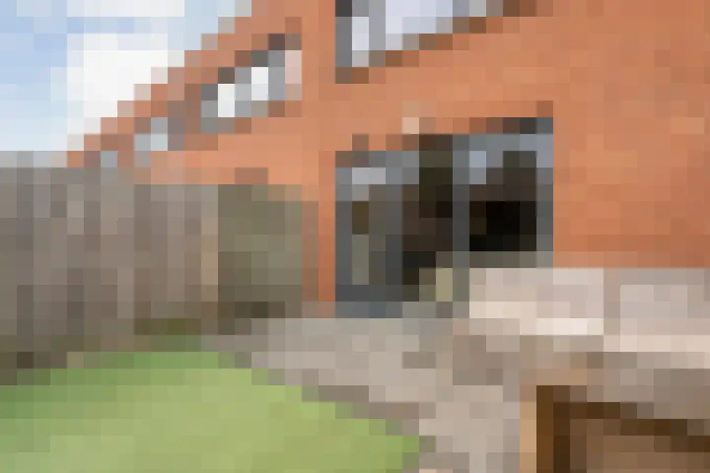 Boogmakerstraat 9 Zwolle thumbnail 29