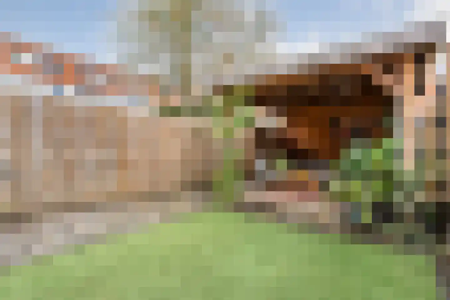 Boogmakerstraat 9 Zwolle thumbnail 30