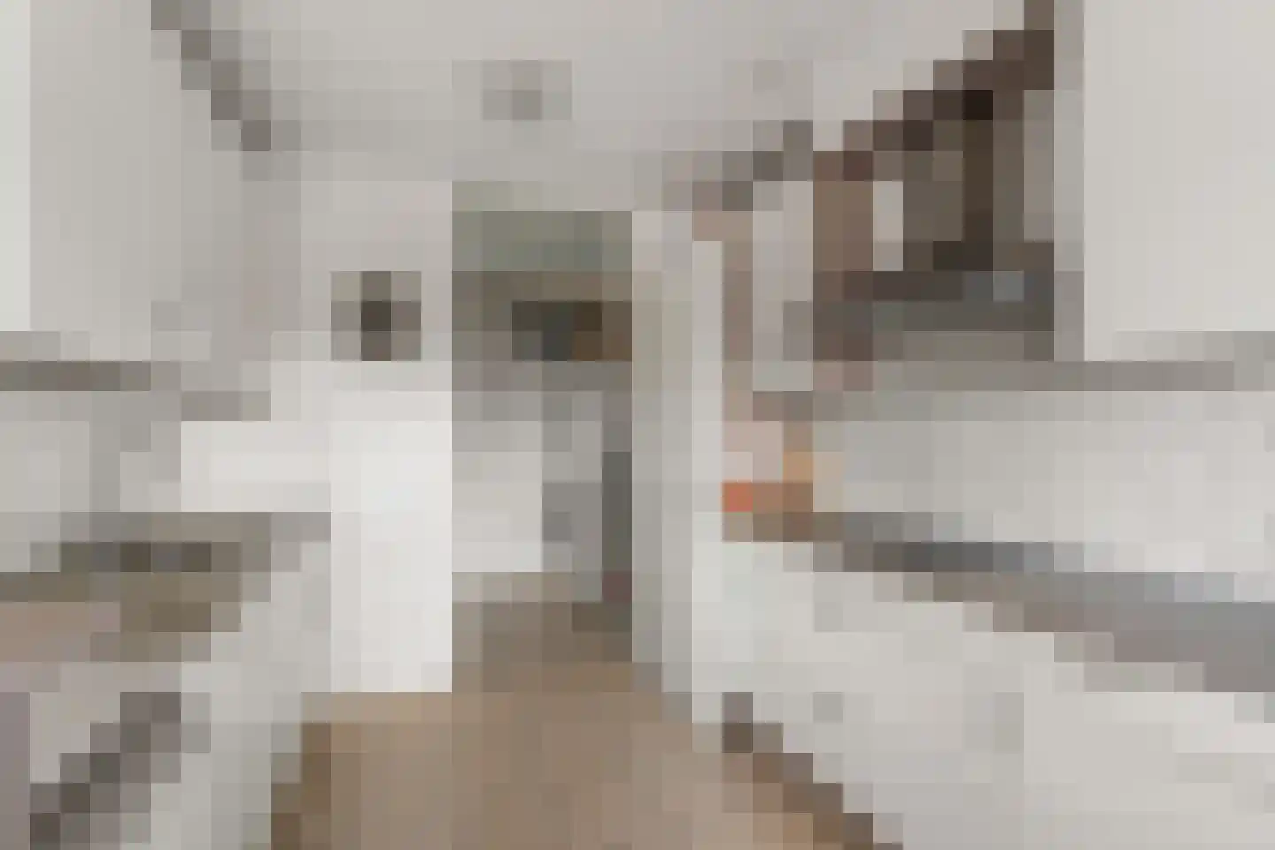 Boogmuur 103 Houten thumbnail 14