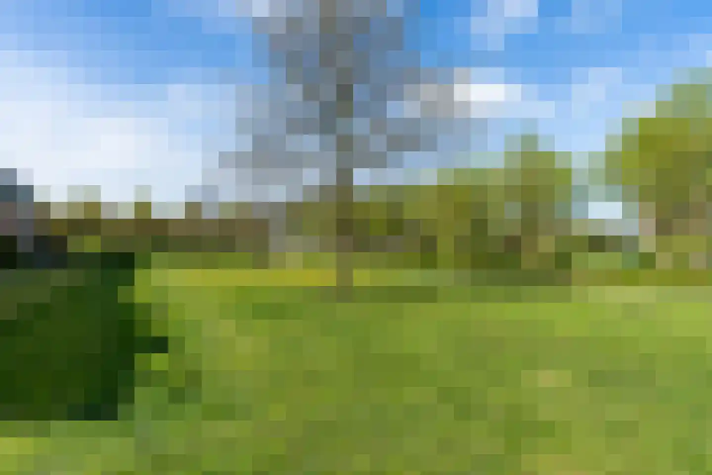 Boogmuur 103 Houten thumbnail 32
