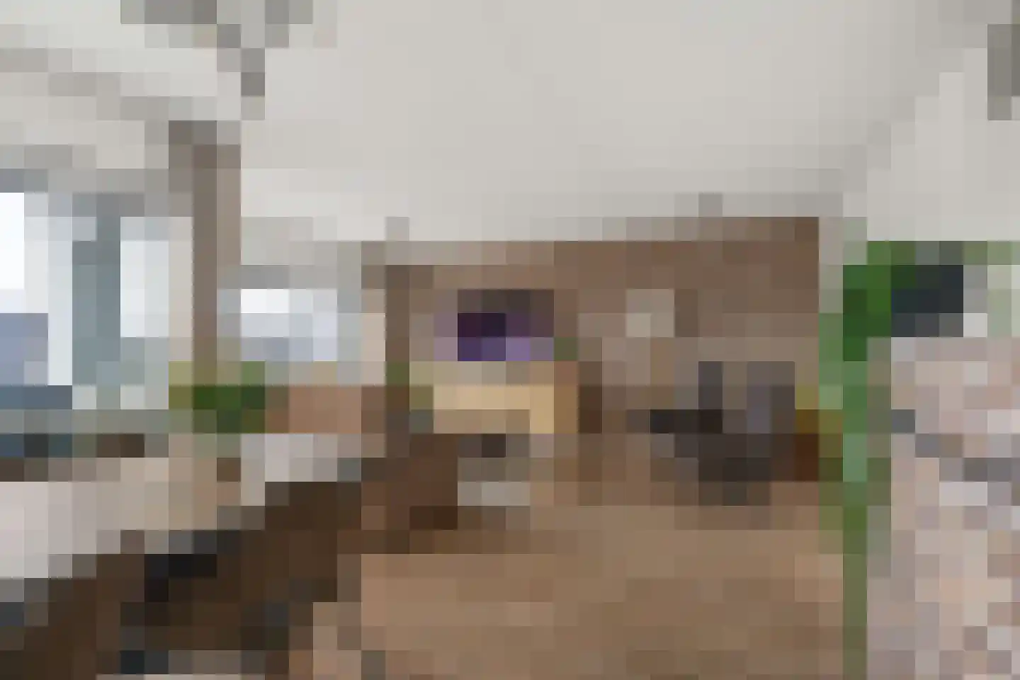 Boogmuur 103 Houten thumbnail 4