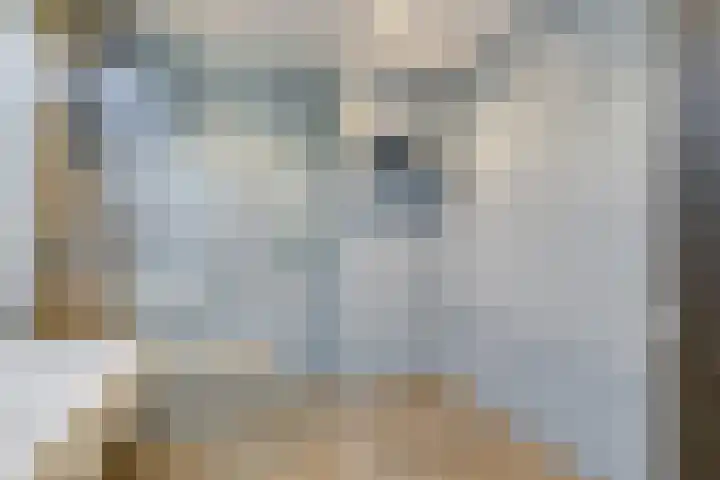 Boogmuur 129 Houten thumbnail 25