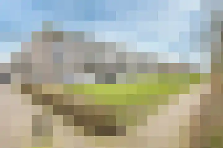 Boogmuur 129 Houten thumbnail 38