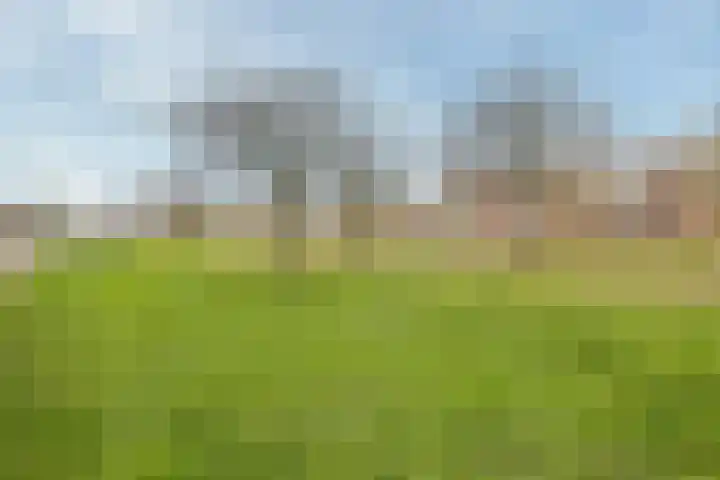 Boogmuur 129 Houten thumbnail 42