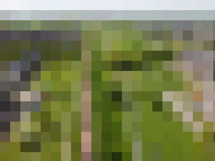 Boogmuur 129 Houten thumbnail 43