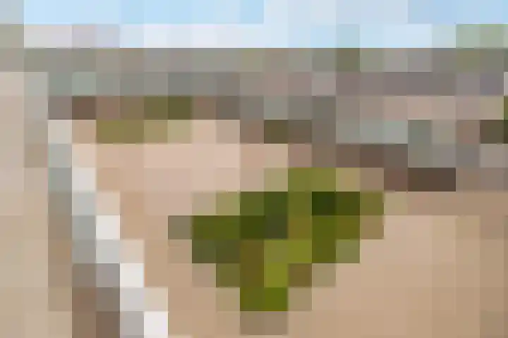 Boogmuur 139 Houten thumbnail 14